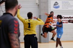 CJB HANDBALL - CHARTRES PHOTO L.DELMOY